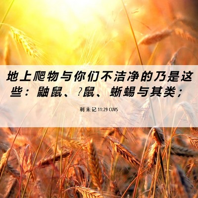 Picture 06 - 利 未 记 11:29 CUVS - 地 上 爬 物 与 你 们 不 洁 净 的 乃 - Bible Verse Picture
