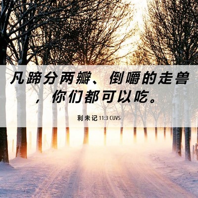 Picture 06 - 利 未 记 11:3 CUVS - 凡 蹄 分 两 瓣 、 倒 嚼 的 走 兽 ， - Bible Verse Picture
