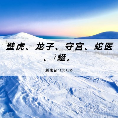 Picture 06 - 利 未 记 11:30 CUVS - 壁 虎 、 龙 子 、 守 宫 、 蛇 医 、 ? - Bible Verse Picture