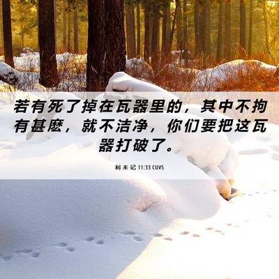 Picture 06 - 利 未 记 11:33 CUVS - 若 有 死 了 掉 在 瓦 器 里 的 ， 其 - Bible Verse Picture