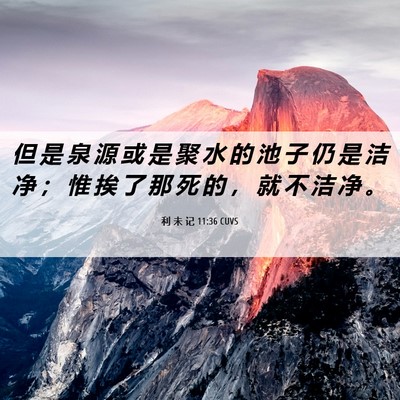 Picture 06 - 利 未 记 11:36 CUVS - 但 是 泉 源 或 是 聚 水 的 池 子 仍 - Bible Verse Picture