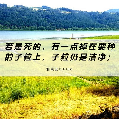 Picture 06 - 利 未 记 11:37 CUVS - 若 是 死 的 ， 有 一 点 掉 在 要 种 - Bible Verse Picture
