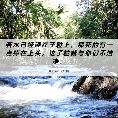 Picture 06 - 利 未 记 11:38 CUVS - 若 水 已 经 浇 在 子 粒 上 ， 那 死 - Bible Verse Picture