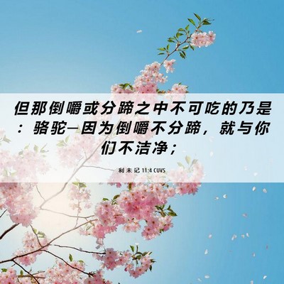 Picture 06 - 利 未 记 11:4 CUVS - 但 那 倒 嚼 或 分 蹄 之 中 不 可 吃 - Bible Verse Picture