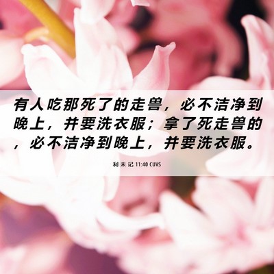 Picture 06 - 利 未 记 11:40 CUVS - 有 人 吃 那 死 了 的 走 兽 ， 必 不 - Bible Verse Picture