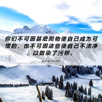Picture 06 - 利 未 记 11:43 CUVS - 你 们 不 可 因 甚 麽 爬 物 使 自 己 - Bible Verse Picture