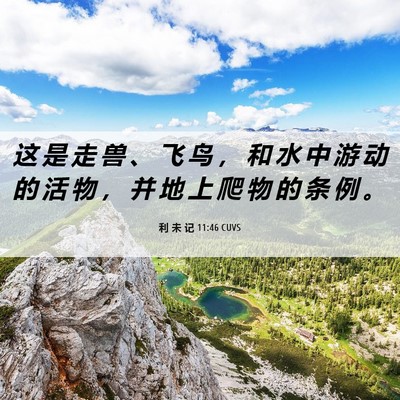 Picture 06 - 利 未 记 11:46 CUVS - 这 是 走 兽 、 飞 鸟 ， 和 水 中 游 - Bible Verse Picture