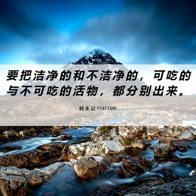 Picture 06 - 利 未 记 11:47 CUVS - 要 把 洁 净 的 和 不 洁 净 的 ， 可 - Bible Verse Picture