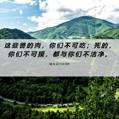 Picture 06 - 利 未 记 11:8 CUVS - 这 些 兽 的 肉 ， 你 们 不 可 吃 ； - Bible Verse Picture
