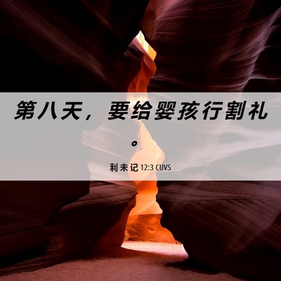 Picture 06 - 利 未 记 12:3 CUVS - 第 八 天 ， 要 给 婴 孩 行 割 礼 - Bible Verse Picture