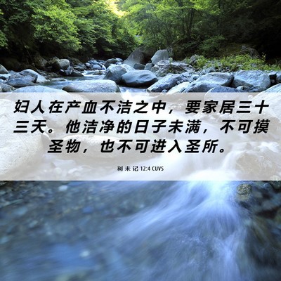 Picture 06 - 利 未 记 12:4 CUVS - 妇 人 在 产 血 不 洁 之 中 ， 要 家 - Bible Verse Picture
