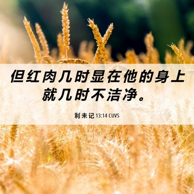 Picture 06 - 利 未 记 13:14 CUVS - 但 红 肉 几 时 显 在 他 的 身 上 就 - Bible Verse Picture