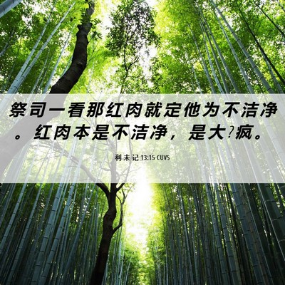 Picture 06 - 利 未 记 13:15 CUVS - 祭 司 一 看 那 红 肉 就 定 他 为 不 - Bible Verse Picture