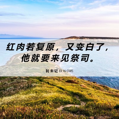 Picture 06 - 利 未 记 13:16 CUVS - 红 肉 若 复 原 ， 又 变 白 了 ， 他 - Bible Verse Picture