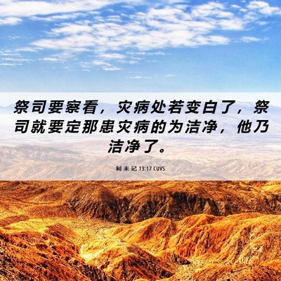 Picture 06 - 利 未 记 13:17 CUVS - 祭 司 要 察 看 ， 灾 病 处 若 变 白 - Bible Verse Picture