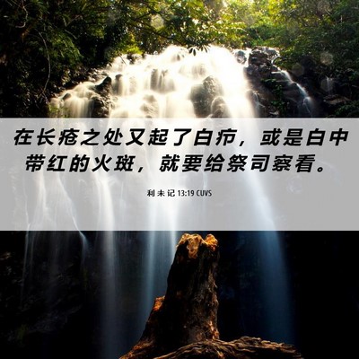 Picture 06 - 利 未 记 13:19 CUVS - 在 长 疮 之 处 又 起 了 白 疖 ， 或 - Bible Verse Picture
