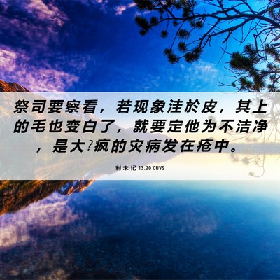 Picture 06 - 利 未 记 13:20 CUVS - 祭 司 要 察 看 ， 若 现 象 洼 於 皮 - Bible Verse Picture