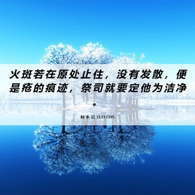 Picture 06 - 利 未 记 13:23 CUVS - 火 斑 若 在 原 处 止 住 ， 没 有 发 - Bible Verse Picture