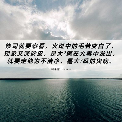 Picture 06 - 利 未 记 13:25 CUVS - 祭 司 就 要 察 看 ， 火 斑 中 的 毛 - Bible Verse Picture