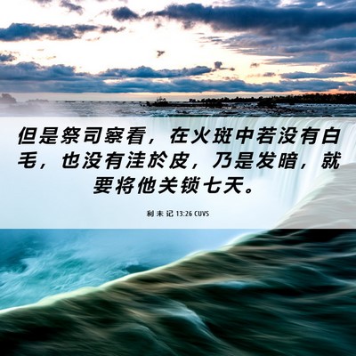 Picture 06 - 利 未 记 13:26 CUVS - 但 是 祭 司 察 看 ， 在 火 斑 中 若 - Bible Verse Picture