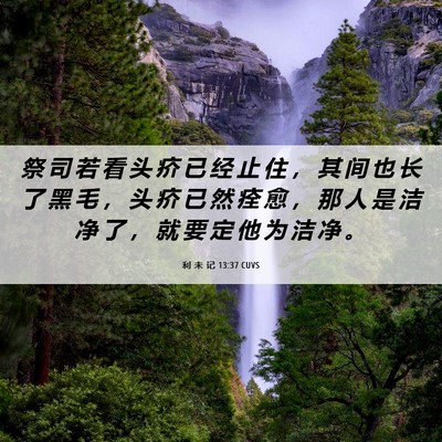 Picture 06 - 利 未 记 13:37 CUVS - 祭 司 若 看 头 疥 已 经 止 住 ， 其 - Bible Verse Picture