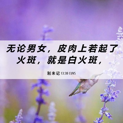 Picture 06 - 利 未 记 13:38 CUVS - 无 论 男 女 ， 皮 肉 上 若 起 了 火 - Bible Verse Picture