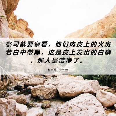 Picture 06 - 利 未 记 13:39 CUVS - 祭 司 就 要 察 看 ， 他 们 肉 皮 上 - Bible Verse Picture