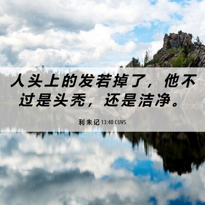 Picture 06 - 利 未 记 13:40 CUVS - 人 头 上 的 发 若 掉 了 ， 他 不 过 - Bible Verse Picture