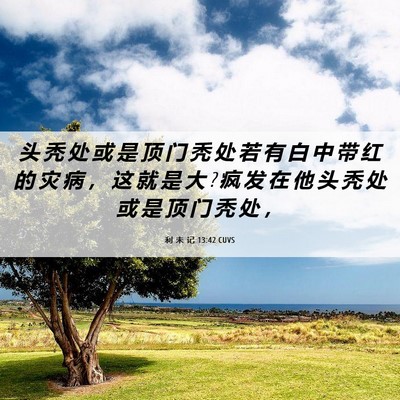 Picture 06 - 利 未 记 13:42 CUVS - 头 秃 处 或 是 顶 门 秃 处 若 有 白 - Bible Verse Picture