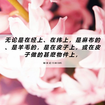 Picture 06 - 利 未 记 13:48 CUVS - 无 论 是 在 经 上 、 在 纬 上 ， 是 - Bible Verse Picture