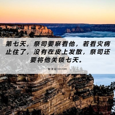 Picture 06 - 利 未 记 13:5 CUVS - 第 七 天 ， 祭 司 要 察 看 他 ， 若 - Bible Verse Picture