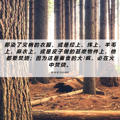 Picture 06 - 利 未 记 13:52 CUVS - 那 染 了 灾 病 的 衣 服 ， 或 是 经 - Bible Verse Picture