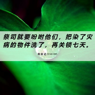 Picture 06 - 利 未 记 13:54 CUVS - 祭 司 就 要 吩 咐 他 们 ， 把 染 了 - Bible Verse Picture