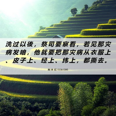 Picture 06 - 利 未 记 13:56 CUVS - 洗 过 以 後 ， 祭 司 要 察 看 ， 若 - Bible Verse Picture