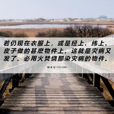 Picture 06 - 利 未 记 13:57 CUVS - 若 仍 现 在 衣 服 上 ， 或 是 经 上 - Bible Verse Picture