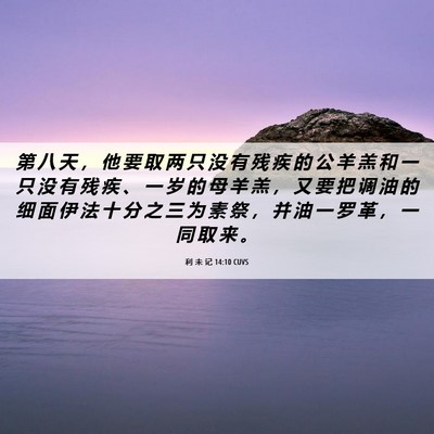 Picture 06 - 利 未 记 14:10 CUVS - 第 八 天 ， 他 要 取 两 只 没 有 残 - Bible Verse Picture