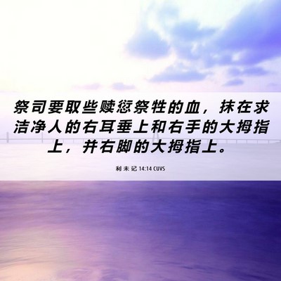 Picture 06 - 利 未 记 14:14 CUVS - 祭 司 要 取 些 赎 愆 祭 牲 的 血 ， - Bible Verse Picture
