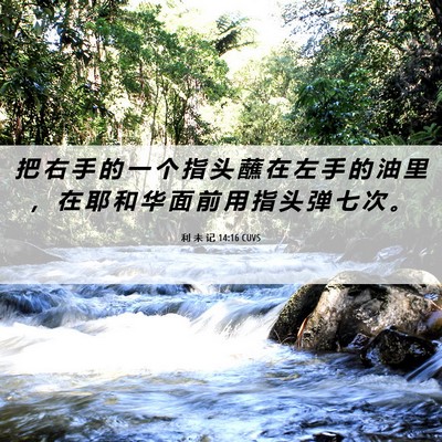 Picture 06 - 利 未 记 14:16 CUVS - 把 右 手 的 一 个 指 头 蘸 在 左 手 - Bible Verse Picture