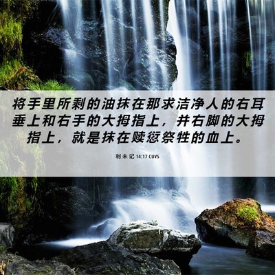 Picture 06 - 利 未 记 14:17 CUVS - 将 手 里 所 剩 的 油 抹 在 那 求 洁 - Bible Verse Picture