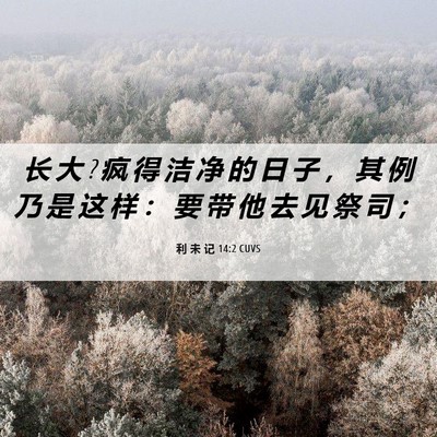 Picture 06 - 利 未 记 14:2 CUVS - 长 大 ? 疯 得 洁 净 的 日 子 ， 其 例 - Bible Verse Picture