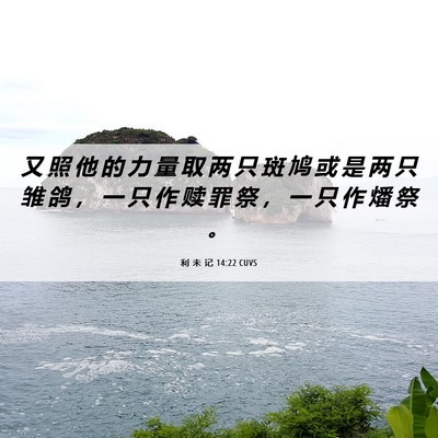 Picture 06 - 利 未 记 14:22 CUVS - 又 照 他 的 力 量 取 两 只 斑 鸠 或 - Bible Verse Picture
