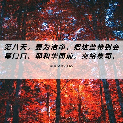 Picture 06 - 利 未 记 14:23 CUVS - 第 八 天 ， 要 为 洁 净 ， 把 这 些 - Bible Verse Picture