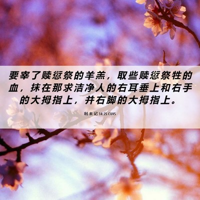 Picture 06 - 利 未 记 14:25 CUVS - 要 宰 了 赎 愆 祭 的 羊 羔 ， 取 些 - Bible Verse Picture