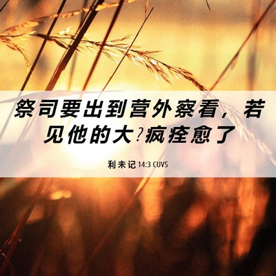 Picture 06 - 利 未 记 14:3 CUVS - 祭 司 要 出 到 营 外 察 看 ， 若 见 - Bible Verse Picture