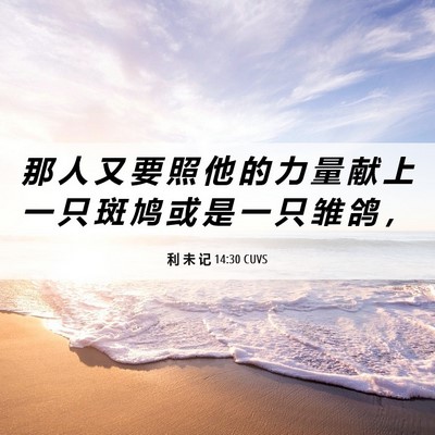 Picture 06 - 利 未 记 14:30 CUVS - 那 人 又 要 照 他 的 力 量 献 上 一 - Bible Verse Picture