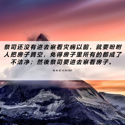 Picture 06 - 利 未 记 14:36 CUVS - 祭 司 还 没 有 进 去 察 看 灾 病 以 - Bible Verse Picture