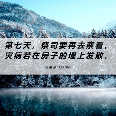 Picture 06 - 利 未 记 14:39 CUVS - 第 七 天 ， 祭 司 要 再 去 察 看 ， - Bible Verse Picture