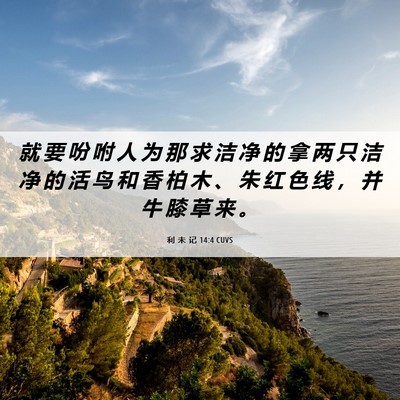 Picture 06 - 利 未 记 14:4 CUVS - 就 要 吩 咐 人 为 那 求 洁 净 的 拿 - Bible Verse Picture