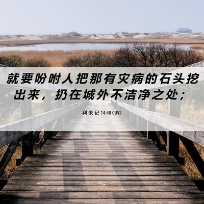 Picture 06 - 利 未 记 14:40 CUVS - 就 要 吩 咐 人 把 那 有 灾 病 的 石 - Bible Verse Picture