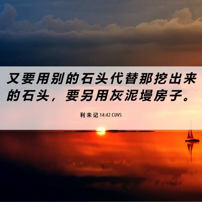 Picture 06 - 利 未 记 14:42 CUVS - 又 要 用 别 的 石 头 代 替 那 挖 出 - Bible Verse Picture